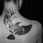 Eagle Tattoos أيقونة