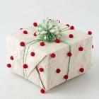 Gift Wrapping Ideas ikona