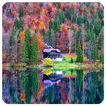 Jigsaw Puzzles Now biểu tượng