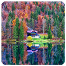 Jigsaw Puzzles Now-APK