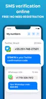 SMS Verification Code تصوير الشاشة 3