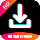 SnapTik - Tiktok Downloader icono