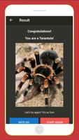 What Spider Are You? اسکرین شاٹ 1
