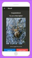 What Spider Are You? captura de pantalla 2