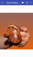 برنامه‌نما snake wallpaper عکس از صفحه