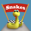 Snake Way 3D: Adventure Run APK