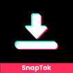 ”SnapTikTok Video Downloader