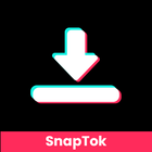 SnapTikTok icône