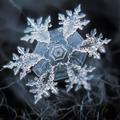 Snowflake Wallpapers