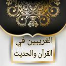 الغريبين في القرآن والحديث للهروي APK