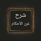 درر الحكام شرح غرر الأحكام icon