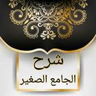 الجامع الصغير وشرحه النافع الك icon