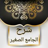 الجامع الصغير وشرحه النافع الك icon