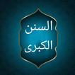 السنن الكبرى للنسائي