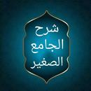 فيض القدير شرح الجامع الصغير APK