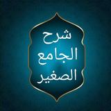 فيض القدير شرح الجامع الصغير icon