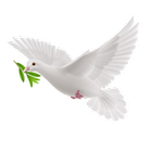 الرحيق المختوم icon
