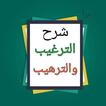 شرح الترغيب والترهيب للمنذرى