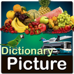 Picture Dictionary