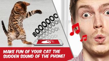 3 Schermata Giocattoli per gatti 😽 Sound for kitty - joke