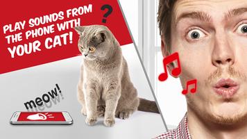 Poster Giocattoli per gatti 😽 Sound for kitty - joke