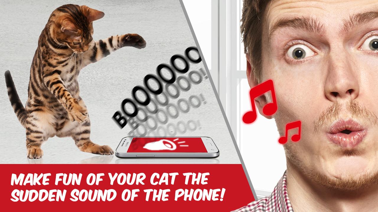 Kattenspeelgoed 😽 Geluid voor poes - grapje for - APK Download