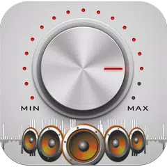 Equalizer Volume Amplifier