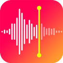 Enregistreur vocal APK