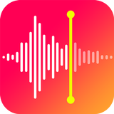 Voice Recorder - Audiorecorder