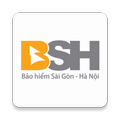 BSH-ST Field