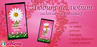 Любит не любит гадание