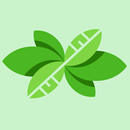 APK ecovita