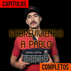 ikon Sobreviviendo a Pablo