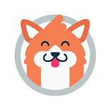 Flockr - Rede social para pets