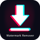 Snaptok: TT Watermark Remover APK