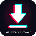 Snaptok: TT Watermark Remover biểu tượng