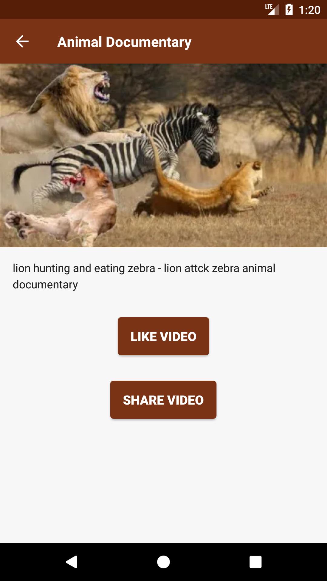Animal documentary online 🦁 APK for Android Download Animal documentary online 🦁 APK for Android Download
