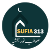 sofiya 313