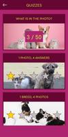 Cat & Dog Breeds Quiz Affiche