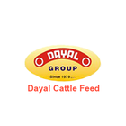 Dayal Group أيقونة