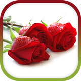 Flower theme and Launcher icono