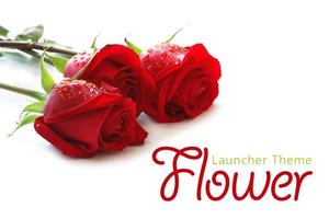 Flower theme and Launcher Poster