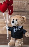 Poster Cute Teddy Bear Wallpaper
