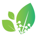 Take Root APK