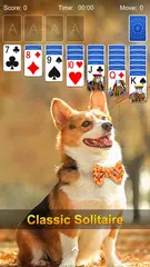 Solitaire - Classic Card Game XAPK download