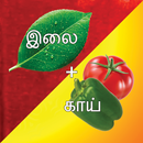 Kandupidi solliadi tamil game APK