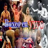 SOLO BOXEO EN VIVO