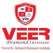 Veer Diamond Institute