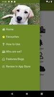 Brave Puppy Lite: Dog Training Tool постер
