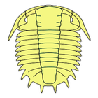 Import test for trilobite icône